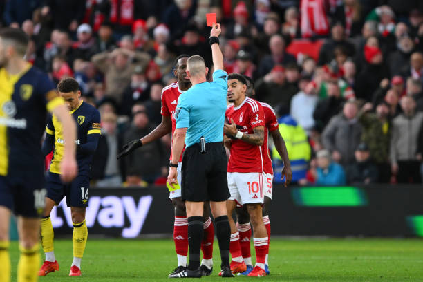 全面振兴 全面振兴